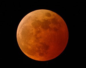The Moon during the total lunar eclipse. Note the deep orange-red color. [Credit: Doug Murray]