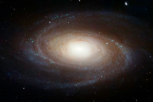 The spiral galaxy M81, as seen by the Hubble Space Telescope. [Credit: NASA/ESA/Hubble Heritage Team (STScI/AURA)]