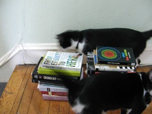 A small representative sample of my relativity books, with my cats Pascal and Harriet for scale.