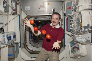 Canadian astronaut Chris Hadfield aboard the International Space Station (ISS), demonstrating weightlessness with tomatoes. [Credit: International Business Times]