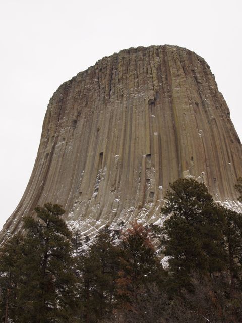 A view of Devils Tower from the base, showing both the columnar structure but also how imposing it is. [Credit: moi]