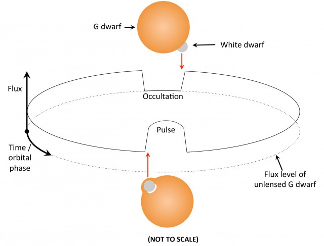 Diagram of lensing of a star by a white dwarf in the same binary system. [Credit: Eric Agol]